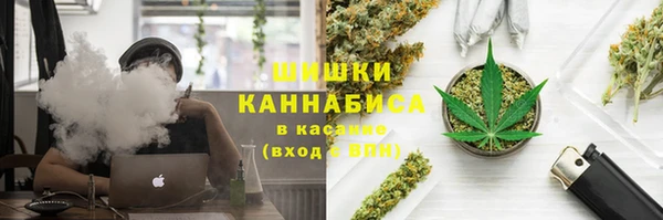 дурь Нея